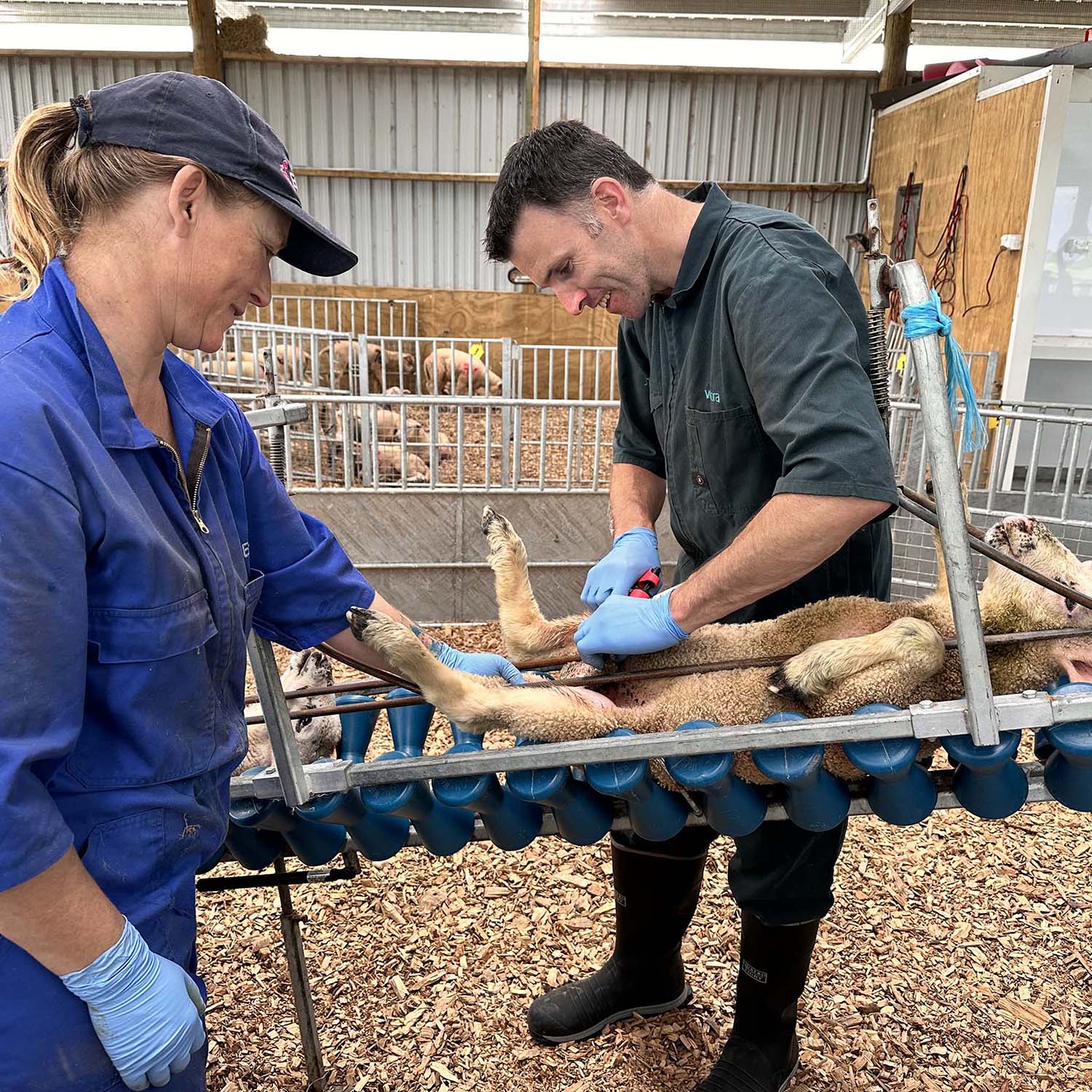 CS-gallery-IMG_2991web