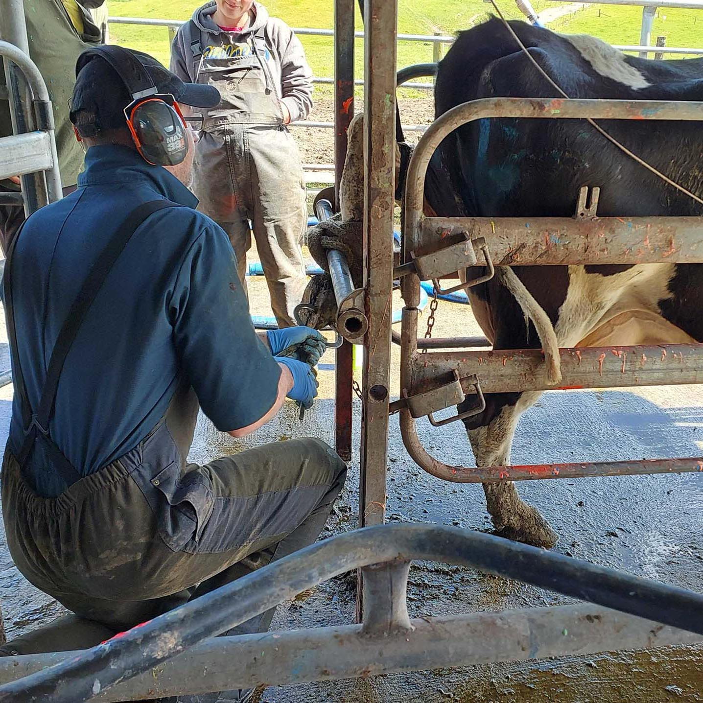 CS-gallery-IMG_6110web