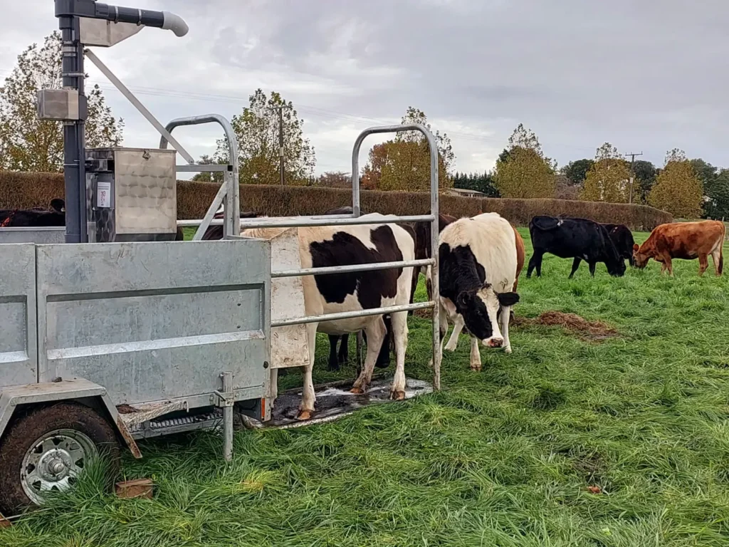 Sample sizes for clinical studies in greenhouse gas research - cows waiting for their turn
