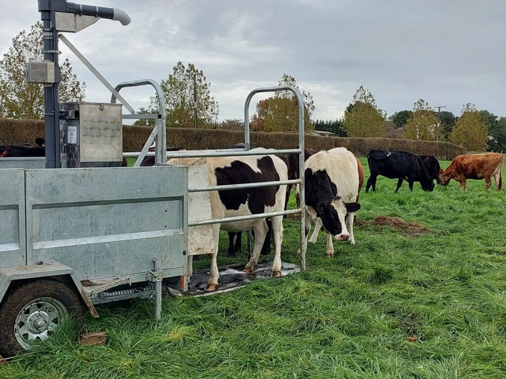 Methane measurement technology used in grazing livestock research