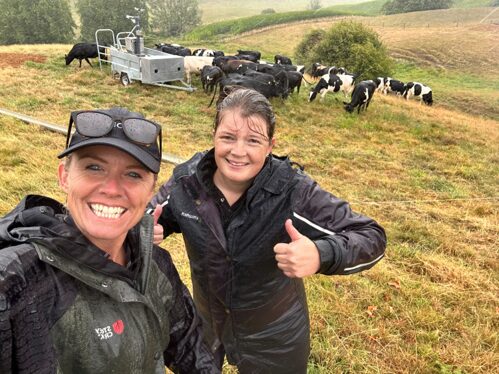 Livestock research under real farm conditions